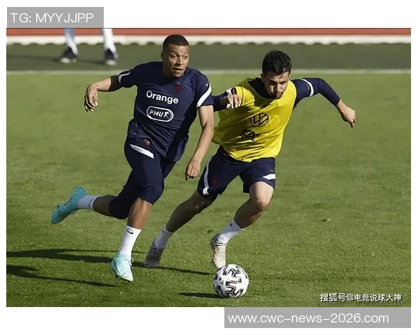 法国足球在新西兰的影响与发展探讨